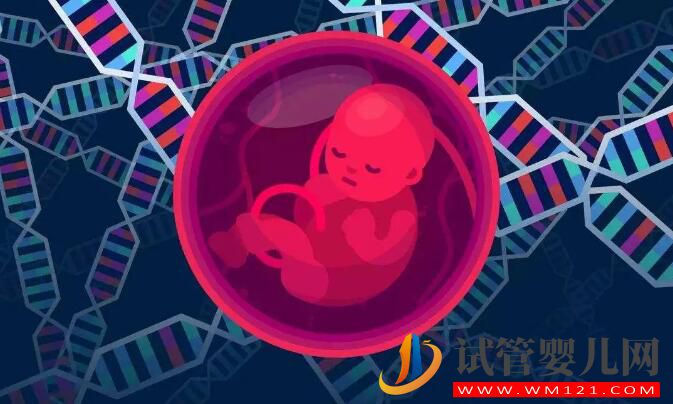 試管嬰兒胚胎移植一個(gè)還是兩個(gè)好(圖2)