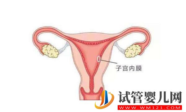 試管備孕中子宮內(nèi)膜過薄應(yīng)該要怎么辦(圖2) 試管備孕中子宮內(nèi)膜過薄應(yīng)該要怎么辦(圖2)