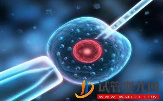 試管嬰兒能不能“定制”雙胞胎？和普通嬰兒有區別沒？(圖3)