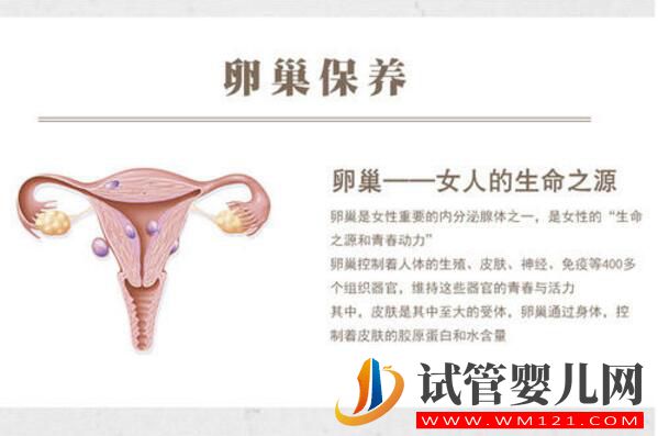 高齡夫妻做試管如何備孕提高成功率(圖3) 高齡夫妻做試管如何備孕提高成功率(圖3)