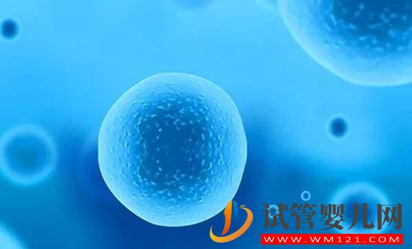 做試管嬰兒促排出現空卵泡是為什么？該怎么辦(圖2)