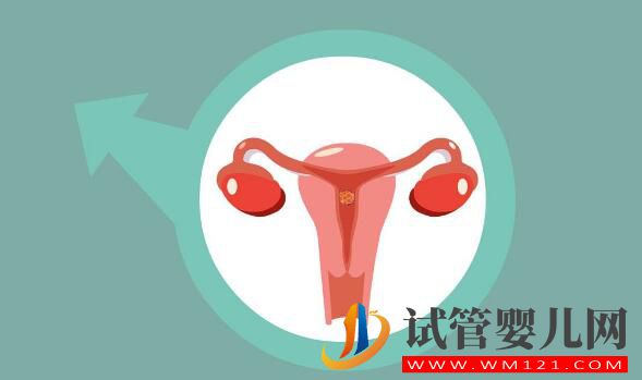試管嬰兒手術(shù)流程到底是怎么樣的？(圖2)