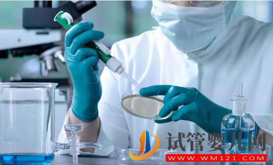 試管嬰兒手術(shù)流程到底是怎么樣的？(圖3)