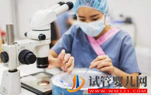 阿里試管嬰兒凍胚移植比鮮胚移植的成功率要高嗎?(圖2)