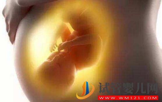 做試管嬰兒的全部流程和費(fèi)用 全部做完要多長時(shí)間(圖4) 做試管嬰兒的全部流程和費(fèi)用 全部做完要多長時(shí)間(圖4)