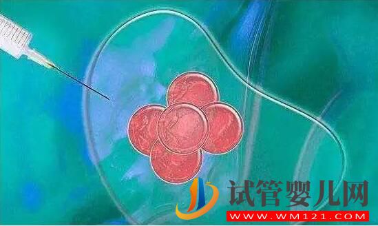 試管嬰兒女方是不是很痛苦？原因令人心酸(圖2)