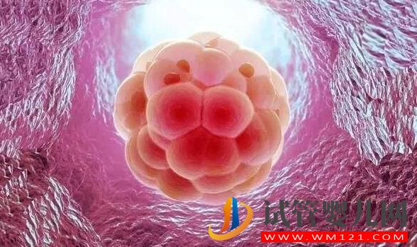 試管嬰兒女方是不是很痛苦？原因令人心酸(圖4)