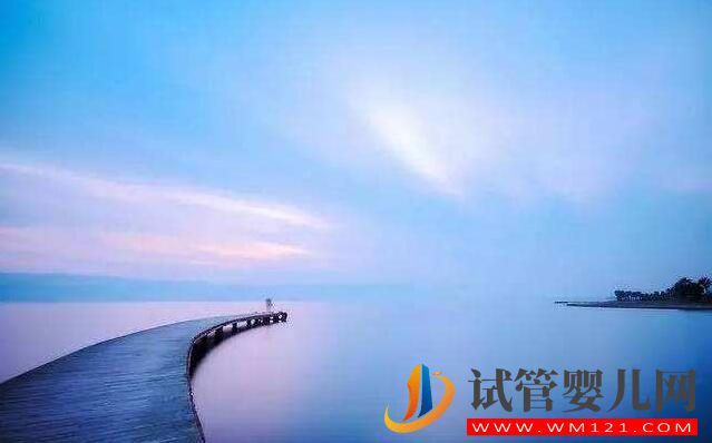 做試管嬰兒心態(tài)很重要 情緒不好還會(huì)影響成功率(圖2) 做試管嬰兒心態(tài)很重要 情緒不好還會(huì)影響成功率(圖2)