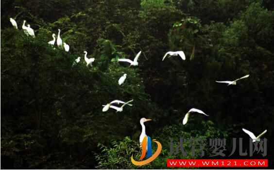 做試管嬰兒心態(tài)很重要 情緒不好還會(huì)影響成功率(圖4) 做試管嬰兒心態(tài)很重要 情緒不好還會(huì)影響成功率(圖4)