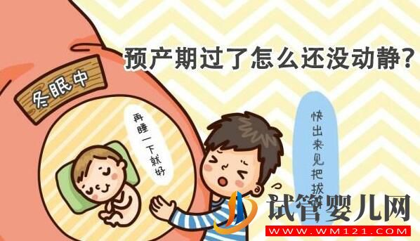 試管嬰兒妊娠如何推算預(yù)產(chǎn)期 正常妊娠是怎么算的(圖2) 試管嬰兒妊娠如何推算預(yù)產(chǎn)期 正常妊娠是怎么算的(圖2)