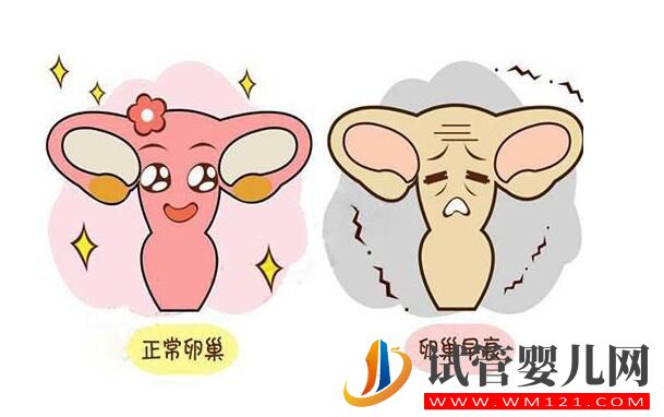 卵巢早衰去泰國做試管嬰兒的成功率如何?(圖2)