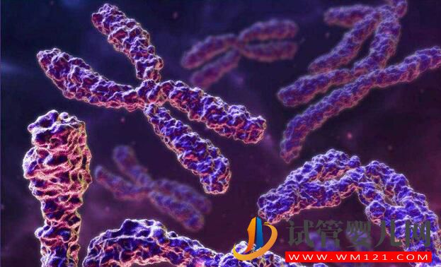 卵巢早衰去泰國做試管嬰兒的成功率如何?(圖3)