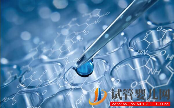 做試管嬰兒的條件是什么?(圖2)