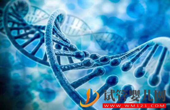 試管嬰兒可以避免先天性聾啞等遺傳性疾病嗎(圖1)