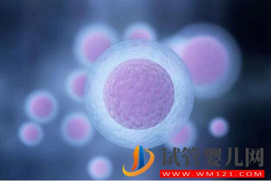 安順做試管嬰兒的流程有哪些 手術(shù)費(fèi)用包括哪些方面(圖3)