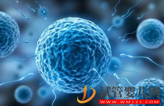 有人說試管嬰兒長大后有弊端 來看看謠言是如何被攻破的(圖1) 有人說試管嬰兒長大后有弊端 來看看謠言是如何被攻破的(圖1)
