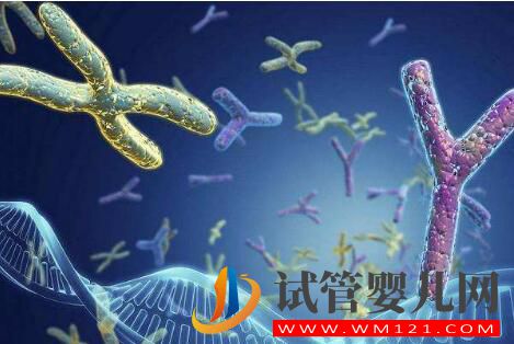 有人說試管嬰兒長大后有弊端 來看看謠言是如何被攻破的(圖3) 有人說試管嬰兒長大后有弊端 來看看謠言是如何被攻破的(圖3)