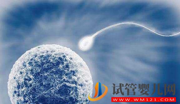 高齡女性做試管如何提高成功率？要注意什么(圖2)