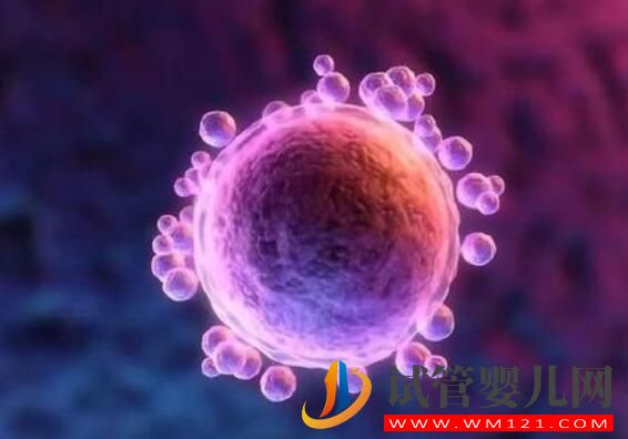 做完試管的懷孕癥狀你了解嗎！(圖1)