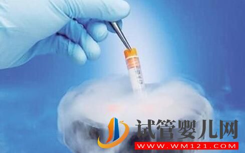 冷凍胚胎對(duì)于試管成功率是否有影響?適合中藥調(diào)理的準(zhǔn)寶媽(圖1) 冷凍胚胎對(duì)于試管成功率是否有影響?適合中藥調(diào)理的準(zhǔn)寶媽(圖1)