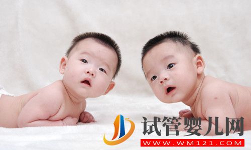 生龍鳳胎機構(gòu)具有什么特點比較值得信任? 生龍鳳胎機構(gòu)具有什么特點比較值得信任?(圖1)