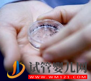 女性冷凍卵子但三個疑問？(圖1)