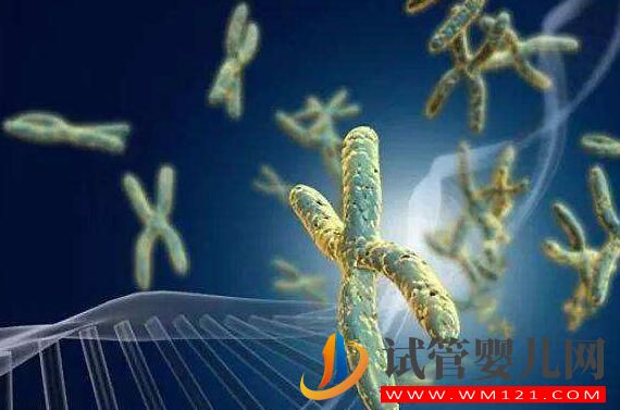 男性染色體異常有沒有什么辦法？能否進(jìn)行人工授精？(圖1)