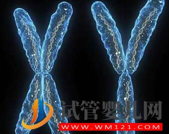 男性染色體異常有沒有什么辦法？能否進(jìn)行人工授精？(圖2)