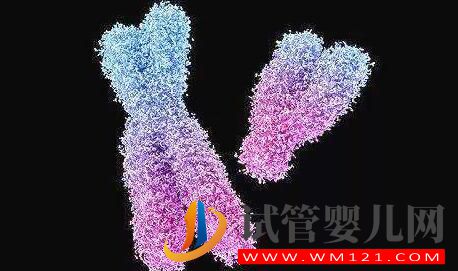 男性染色體異常有沒有什么辦法？能否進(jìn)行人工授精？(圖3)