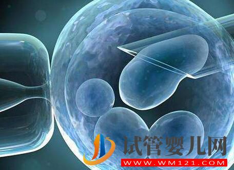 高齡女性做試管應該選擇第幾代技術？(圖2)