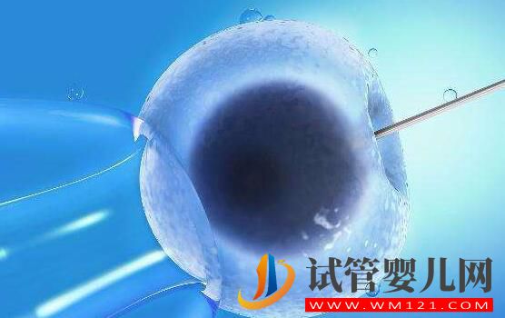 為什么囊胚移植的成功率會更高呢？(圖2)