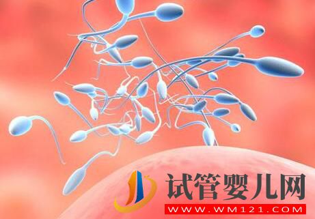 為什么男性精子問題頻出？平時作息良好也難避免？(圖2)