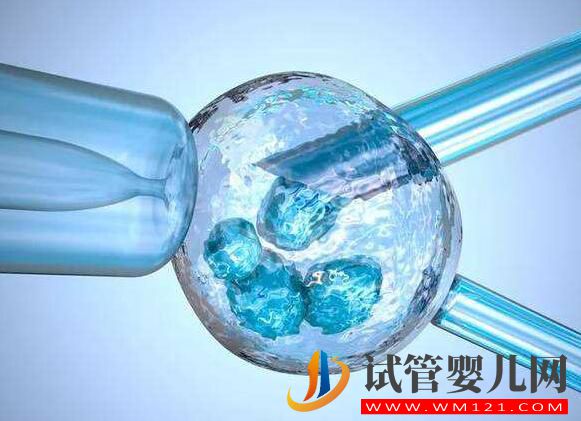 卵泡過少對于試管成功率有影響嗎?有什么方法提高卵子質量?(圖3) 卵泡過少對于試管成功率有影響嗎?有什么方法提高卵子質量?(圖3)