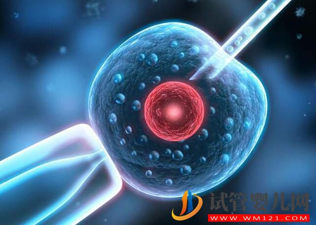 為什么高齡女性要選擇做試管？高齡試管會有哪些風險呢？(圖3)