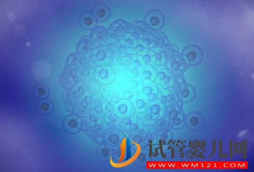 子宮內(nèi)膜過薄會(huì)有什么影響?試管前應(yīng)該如何預(yù)防?(圖2) 子宮內(nèi)膜過薄會(huì)有什么影響?試管前應(yīng)該如何預(yù)防?(圖2)