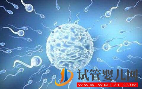 子宮內(nèi)膜過薄會(huì)有什么影響?試管前應(yīng)該如何預(yù)防?(圖3) 子宮內(nèi)膜過薄會(huì)有什么影響?試管前應(yīng)該如何預(yù)防?(圖3)