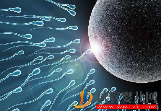 子宮內(nèi)膜過薄會(huì)有什么影響?試管前應(yīng)該如何預(yù)防?(圖4) 子宮內(nèi)膜過薄會(huì)有什么影響?試管前應(yīng)該如何預(yù)防?(圖4)