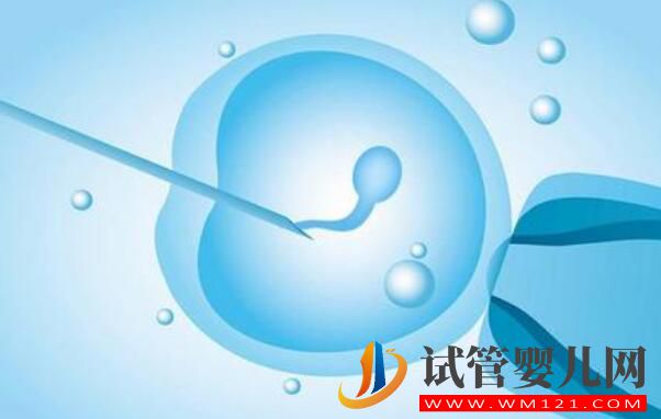 反復流產的原因都有哪些？應該做什么檢查？(圖2)