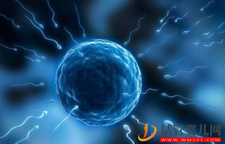 反復流產的原因都有哪些？應該做什么檢查？(圖3)