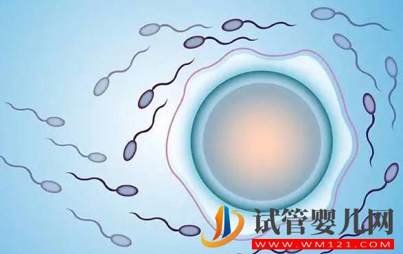 做試管為什么要做檢查？都有哪些檢查項(xiàng)目？(圖1)