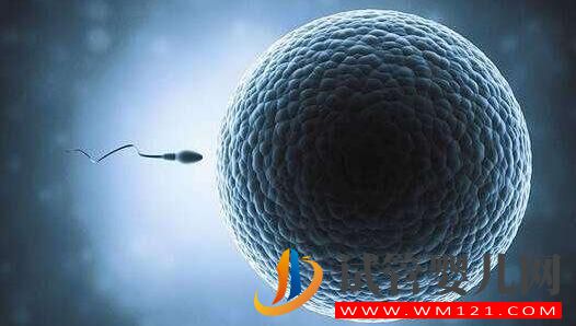 做試管為什么要做檢查？都有哪些檢查項(xiàng)目？(圖2)