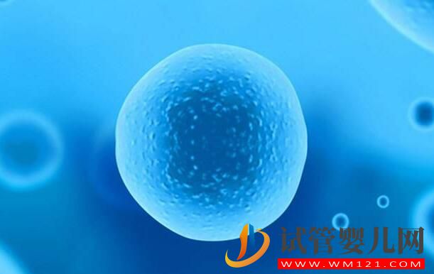 卵子質量對于做試管有什么意義？如何提高成功率？(圖2)