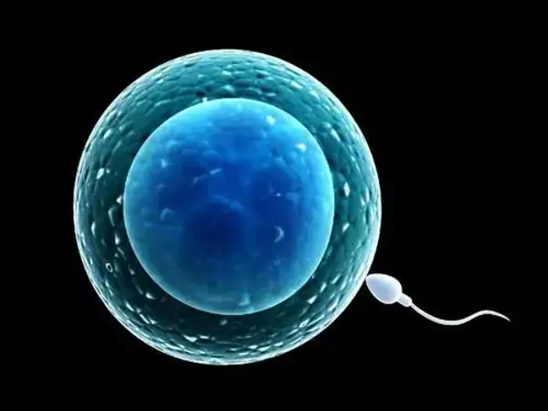 合肥試管嬰兒醫(yī)院排名不得不看,教你選擇最好的(圖1) 合肥試管嬰兒醫(yī)院排名不得不看,教你選擇最好的(圖1)