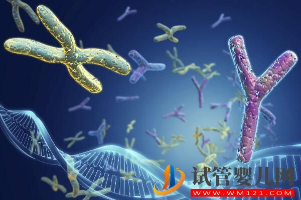 溫州并沒有三代試管嬰兒醫院！浙江僅兩家別錯過(圖2)