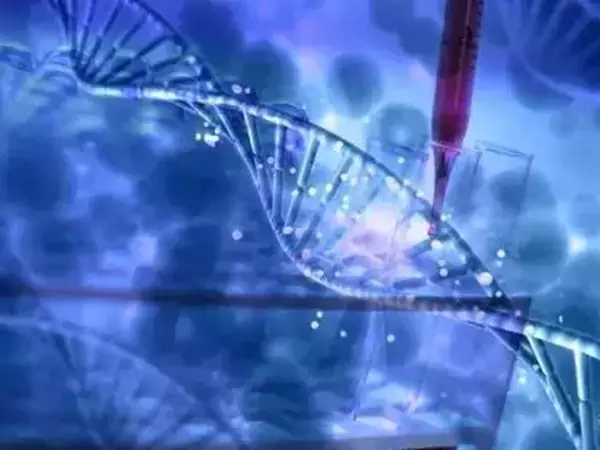 溫州并沒有三代試管嬰兒醫院！浙江僅兩家別錯過(圖1)