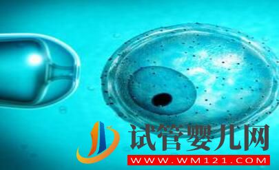 人工授精和試管嬰兒的區別有哪些(圖1)