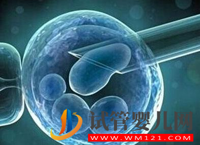 哪些因素會影響冷凍卵子的成功率？(圖1)