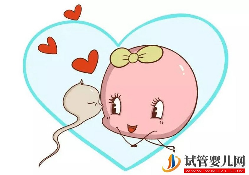 試管嬰兒卵子質量真的沒有辦法提升嗎？(圖2)