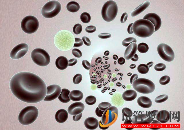 借別人卵子做試管嬰兒成功的概率大嗎(圖1)