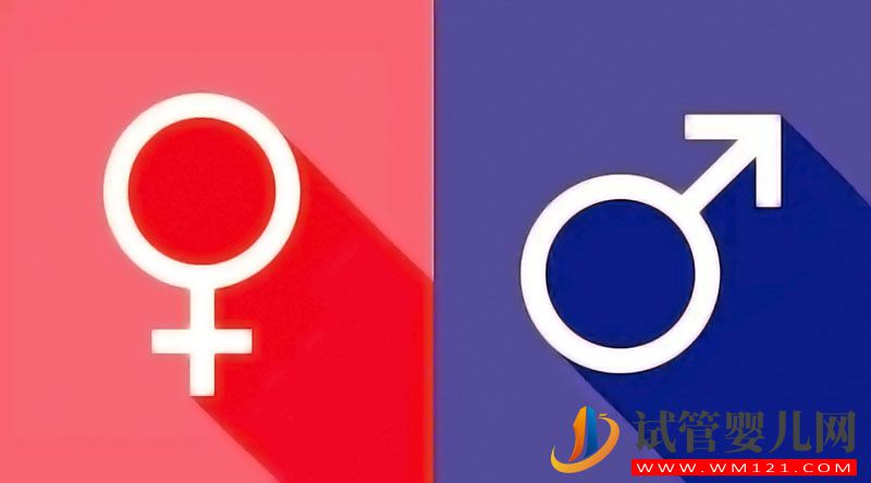 懷不上男孩是女人的問題嗎(圖2)